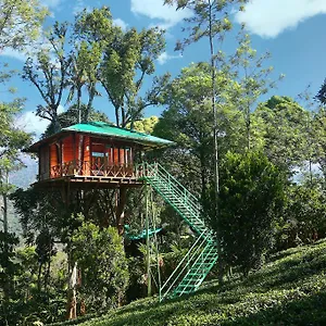 **** Resort Dream Catcher Plantation India